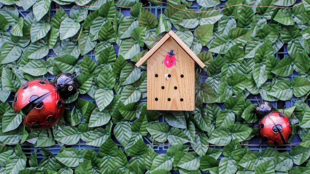 Giant ladybugs and a ladybug/bird house.